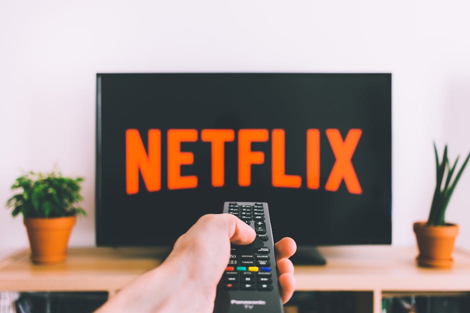 Como Vender Disney Plus en Colombia y Ganar Dinero